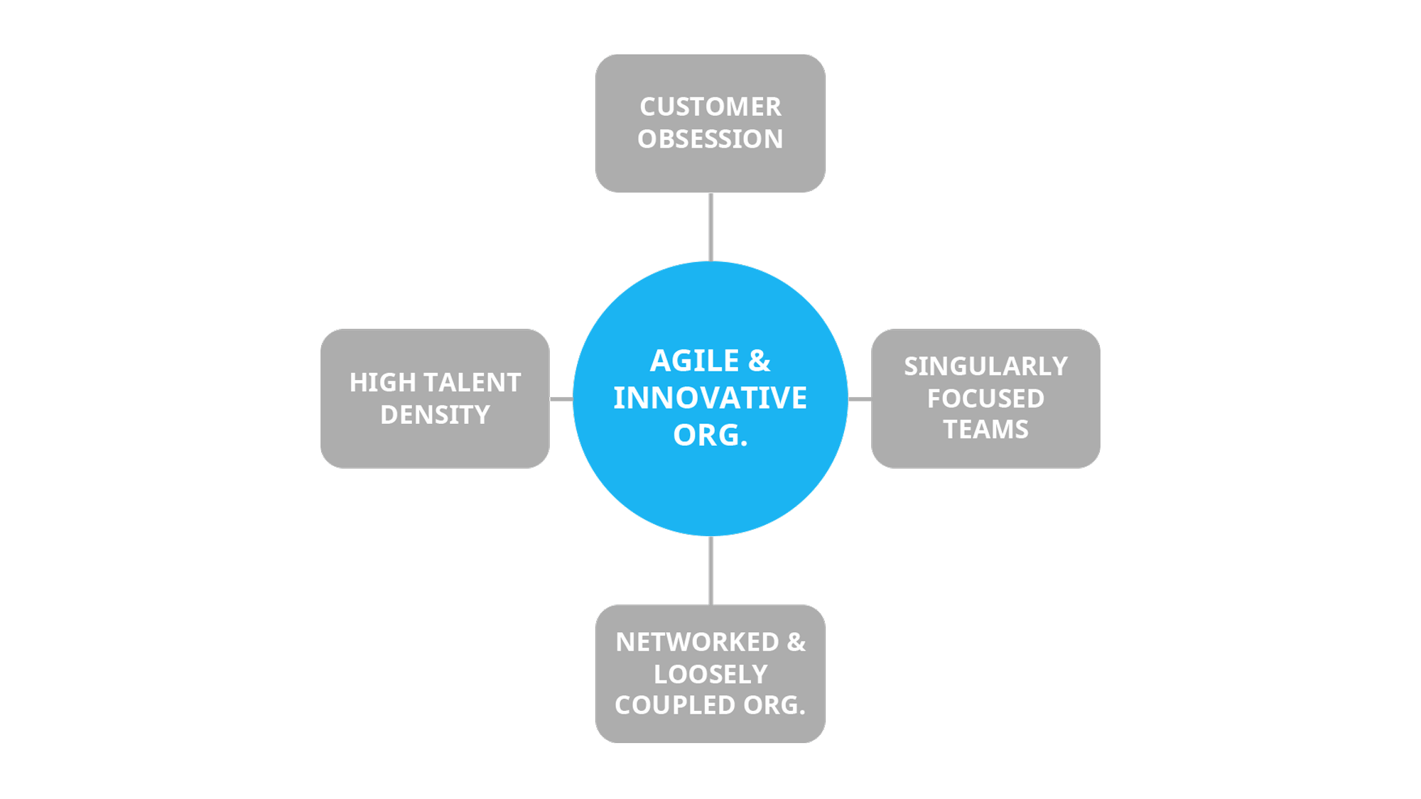 Key principles of an agile and innovative organization
