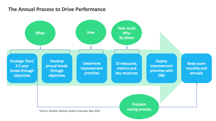 DBS annual process