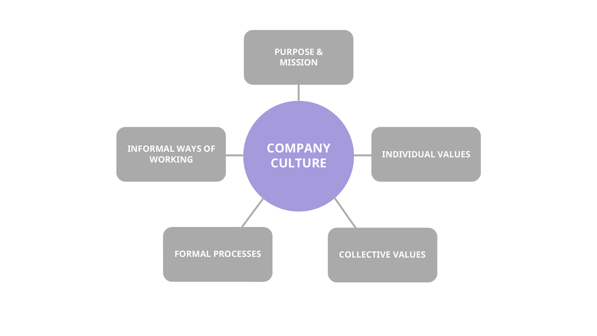 Components of an organizational culture