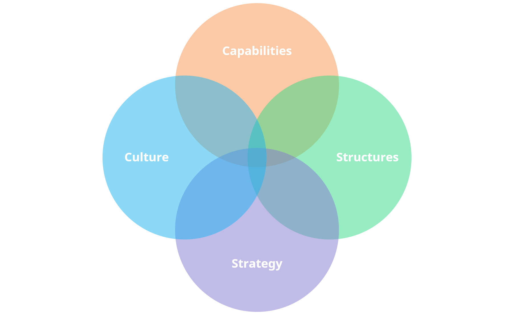 Innovative Organizational Charts