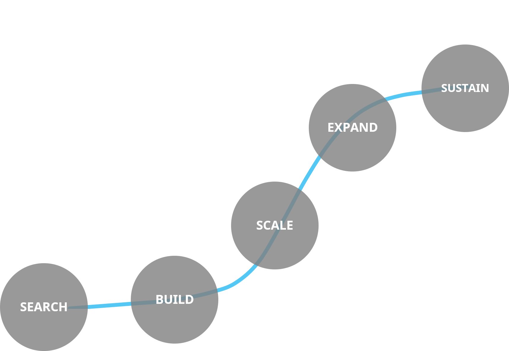 search-build-scale-expand-sustain