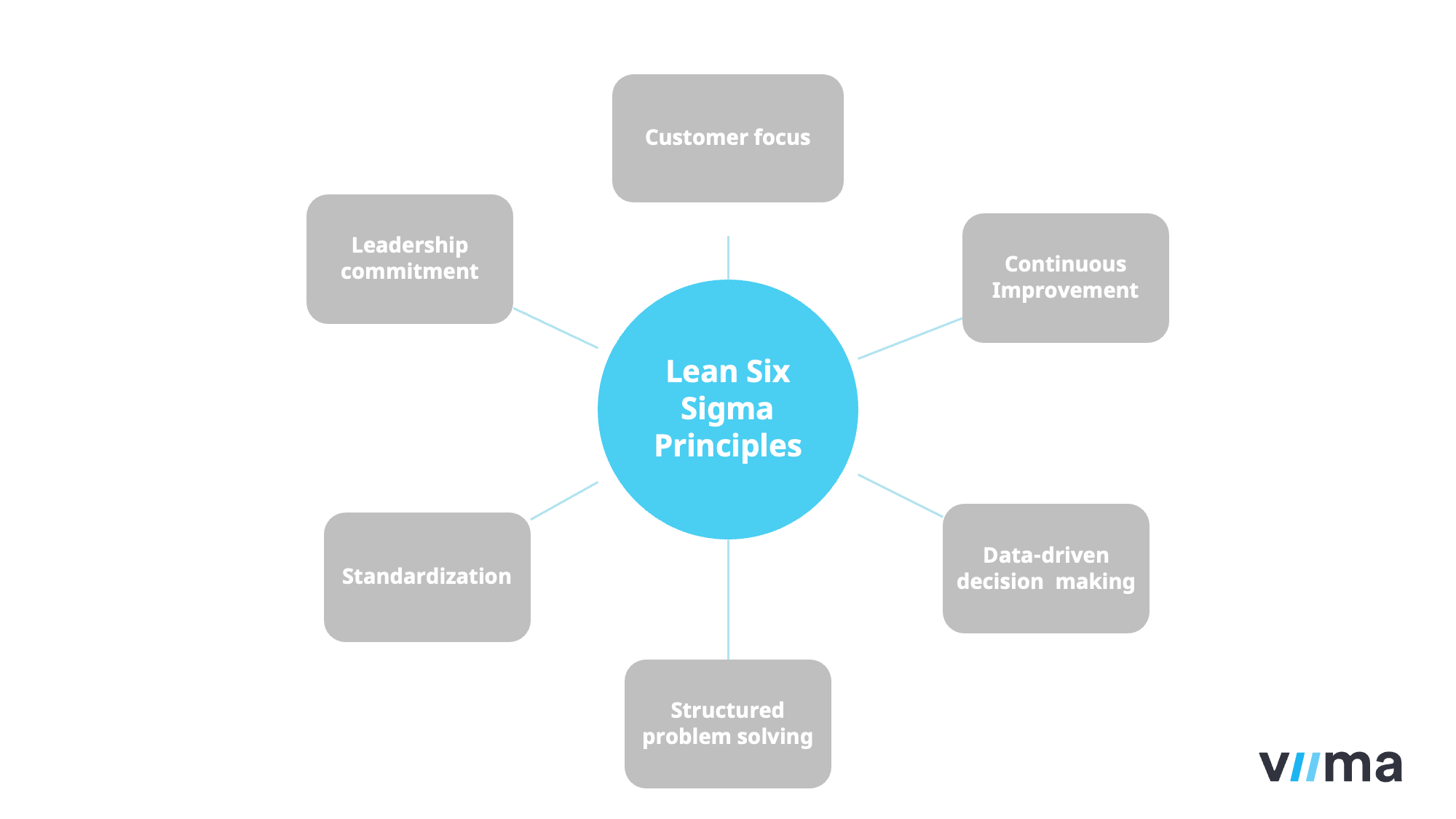 LSS principles