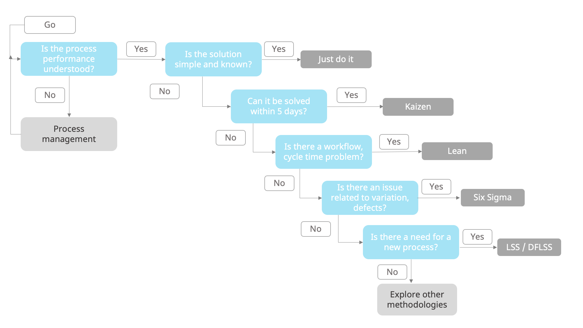 decision making process for LSS