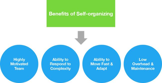 benefits of self organizing teams