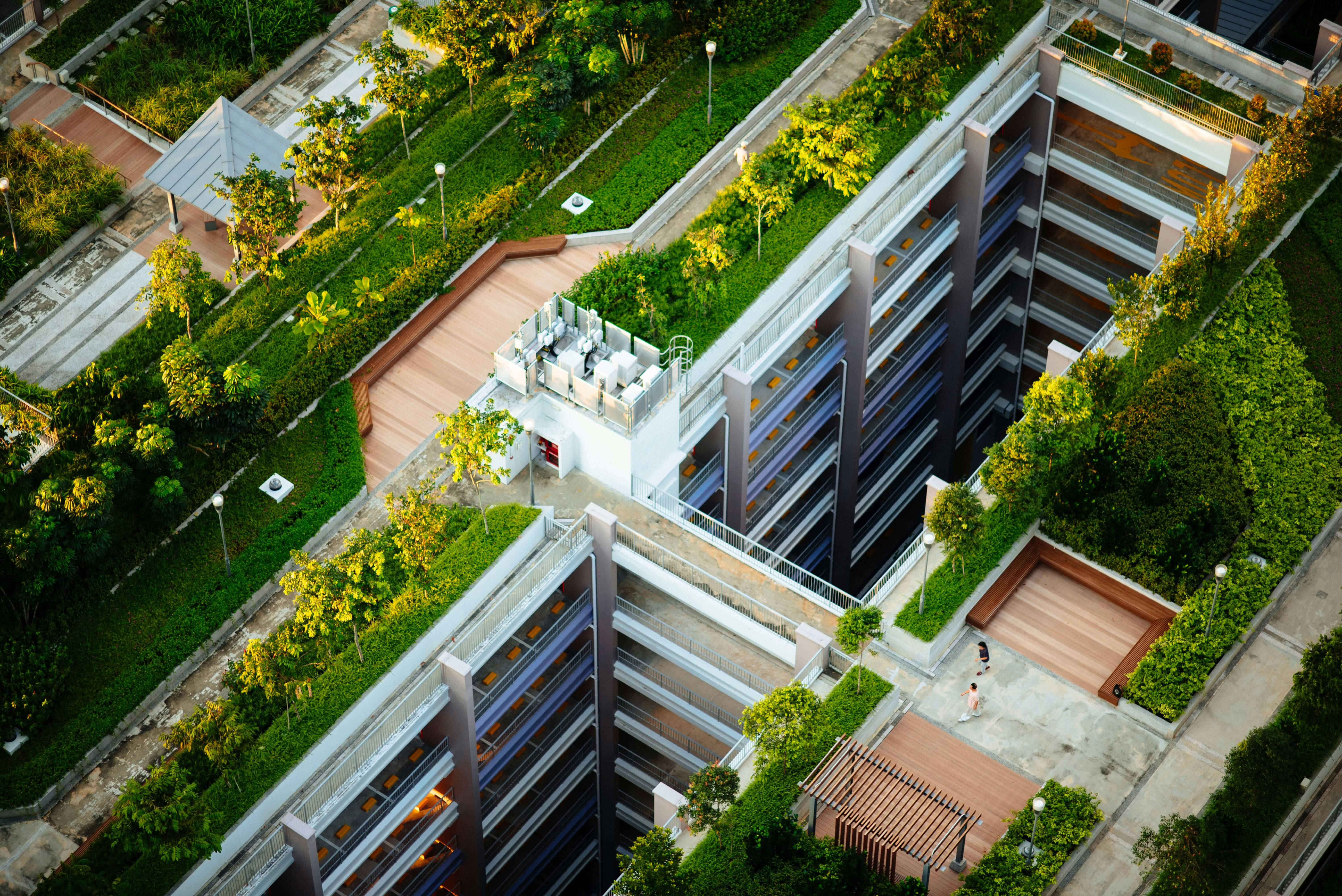 green roof in a city